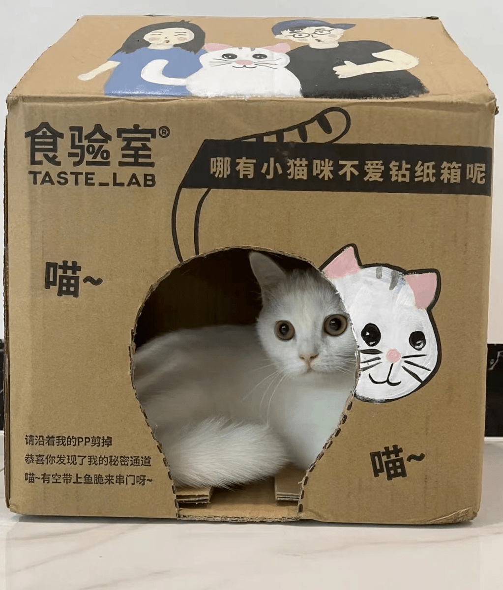 Andrew Pepper tweet media