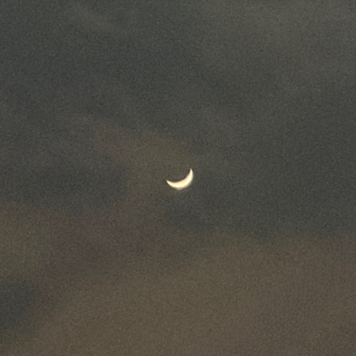 카니｡｡ tweet media