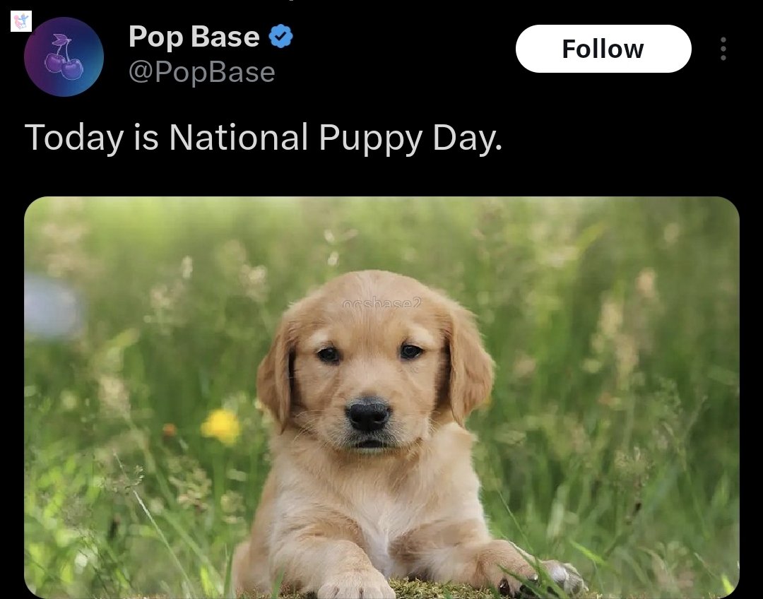 Base utk OCs 🫂🖼📝 tweet media