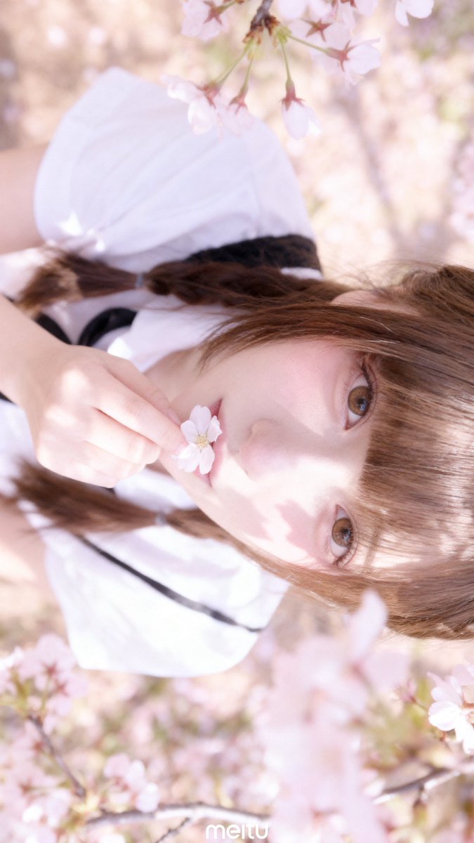 おいしいねこ tweet media