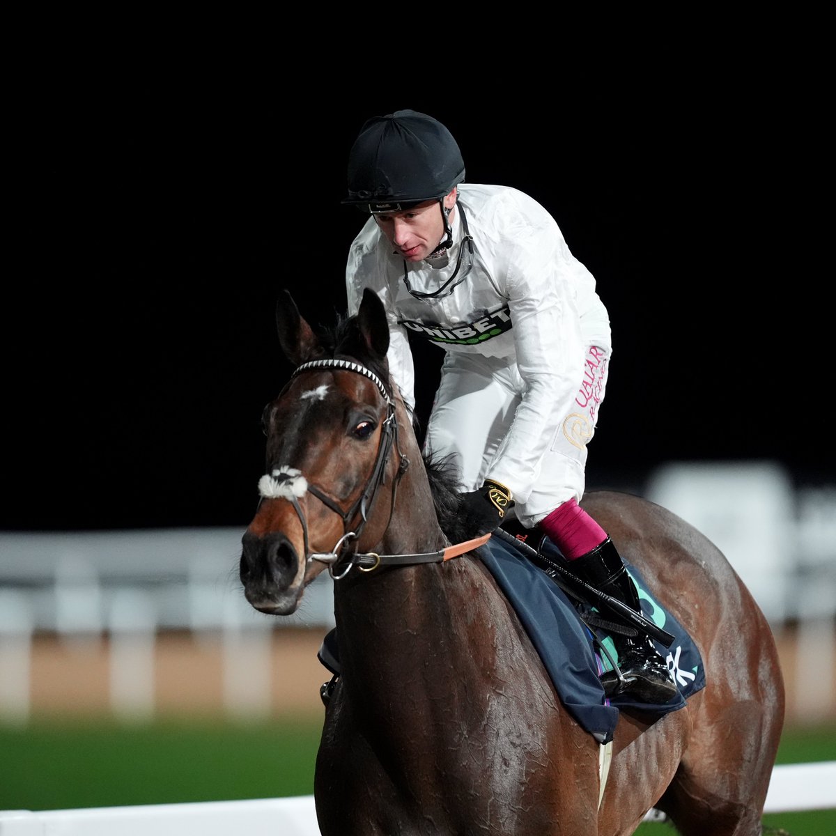 At The Races tweet media