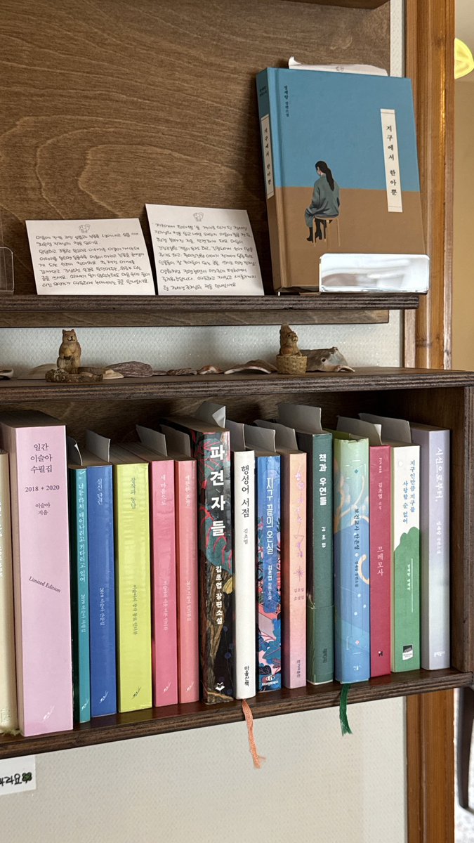 알감자 tweet media