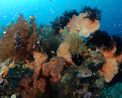 Atlas360 tweet media