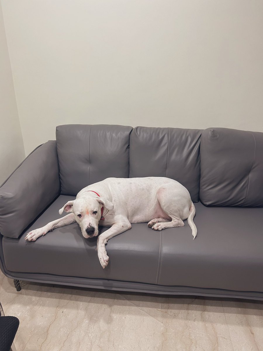 Mahima Pandey tweet media