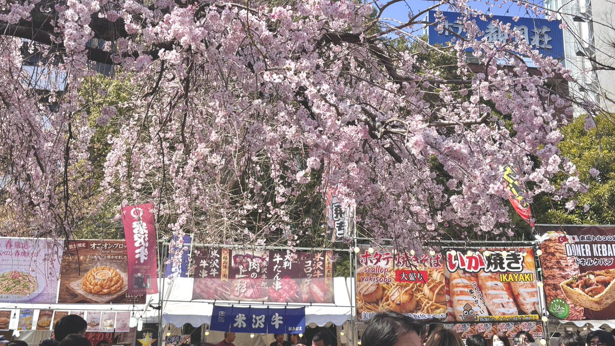 けむちゃお🫖統計 tweet media