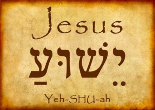 Benjamin Rapture Ready tweet media