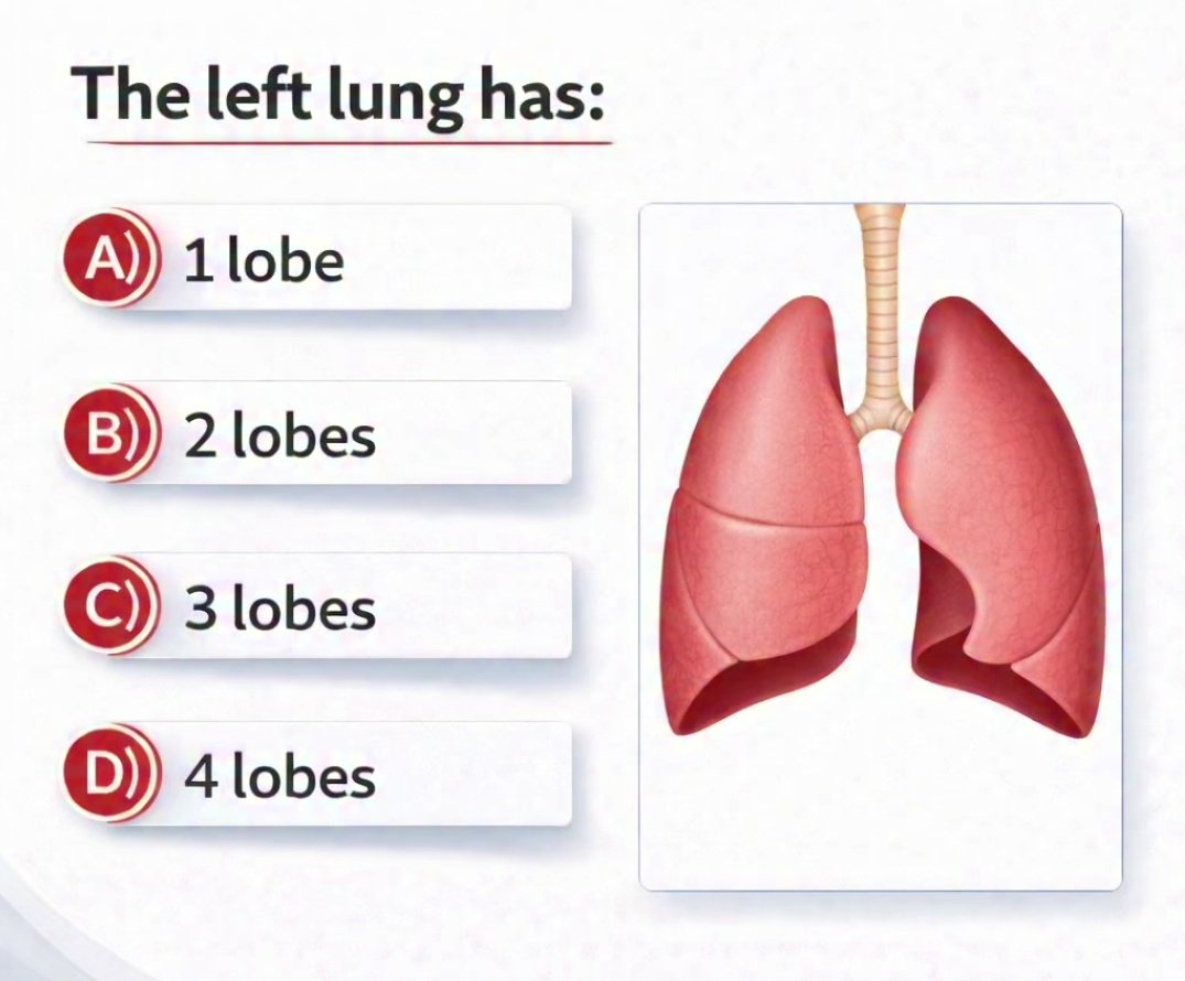 Chaudhary Shafiullah tweet media