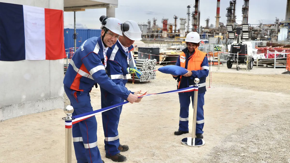 Alex Xplore tweet media