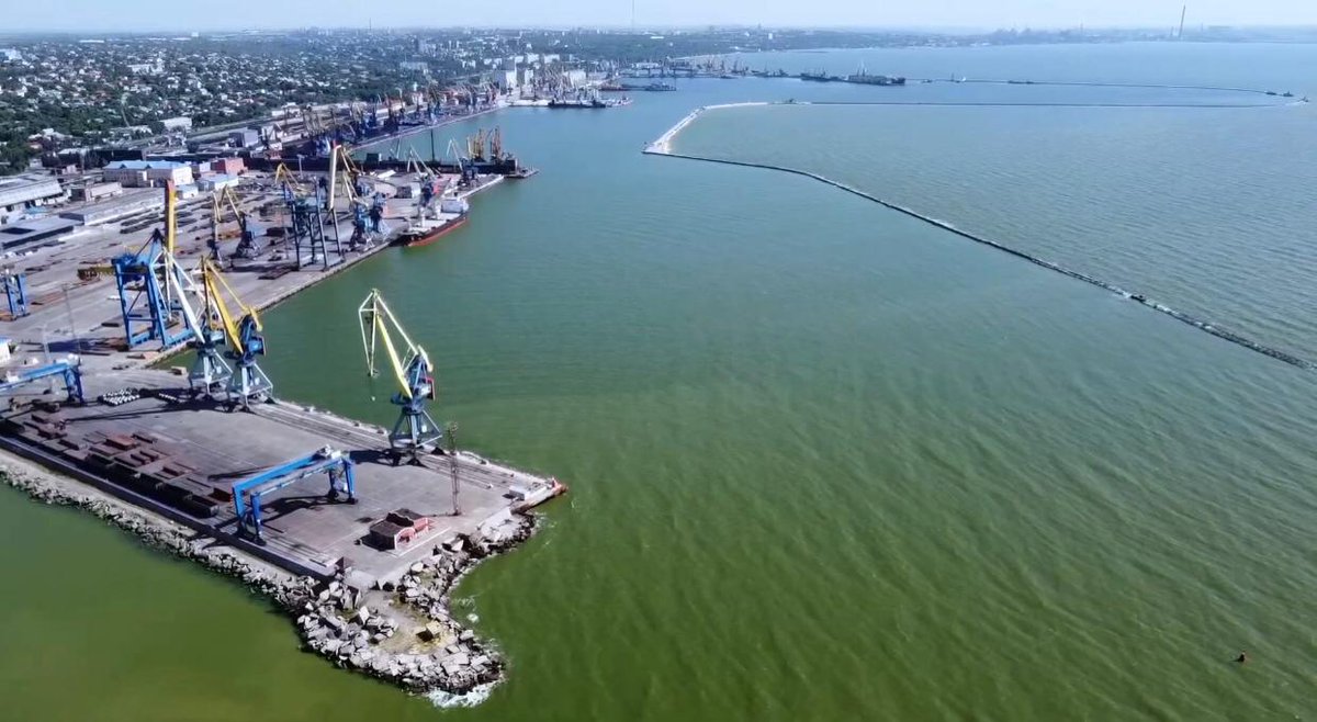 vitaliyfalcon tweet media