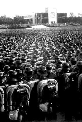 frogo // カエル tweet media