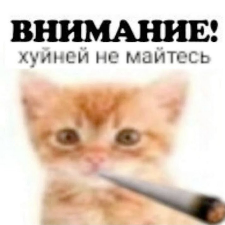 🇰🇿 valenok 🇰🇿 (Comm. Closed) tweet media