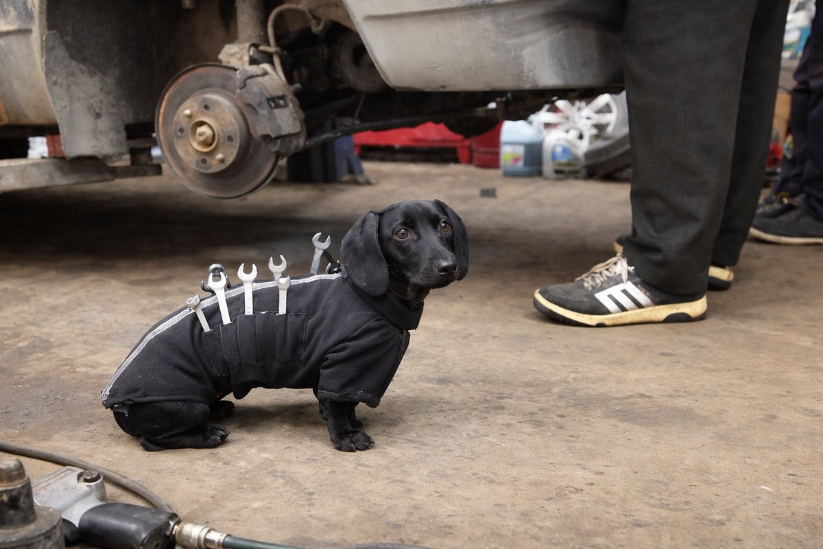 Dnipro-M tweet media