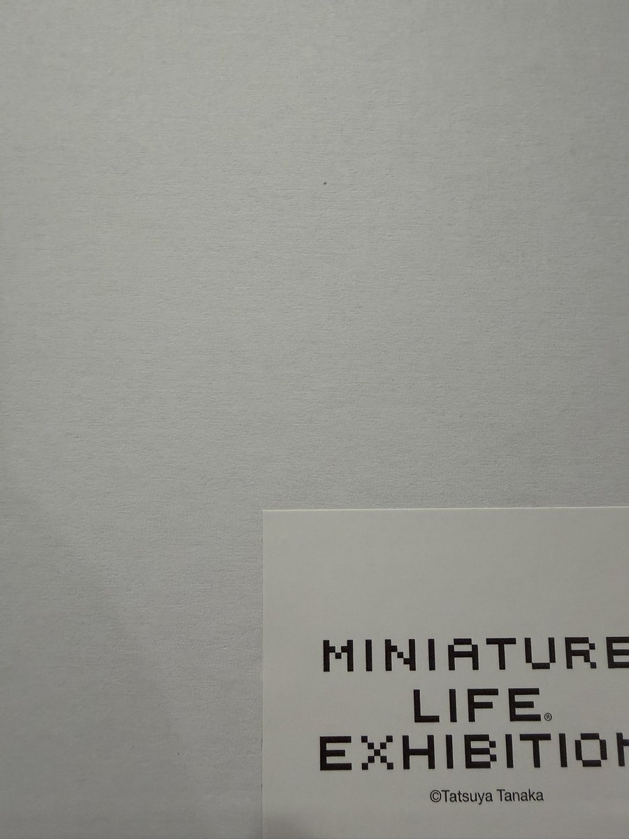 ゆに⛩🦊 tweet media