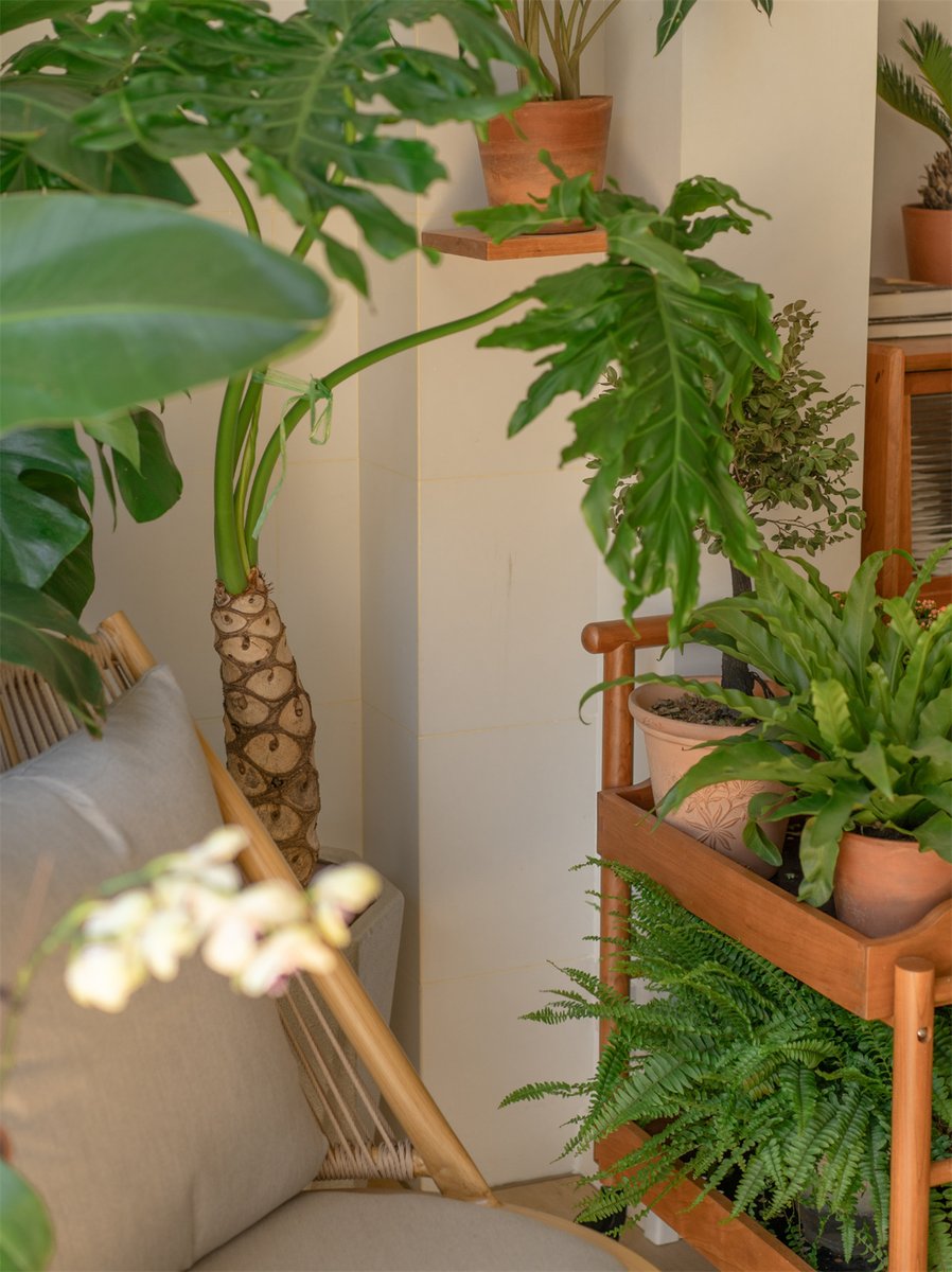 B. Hariharan tweet media