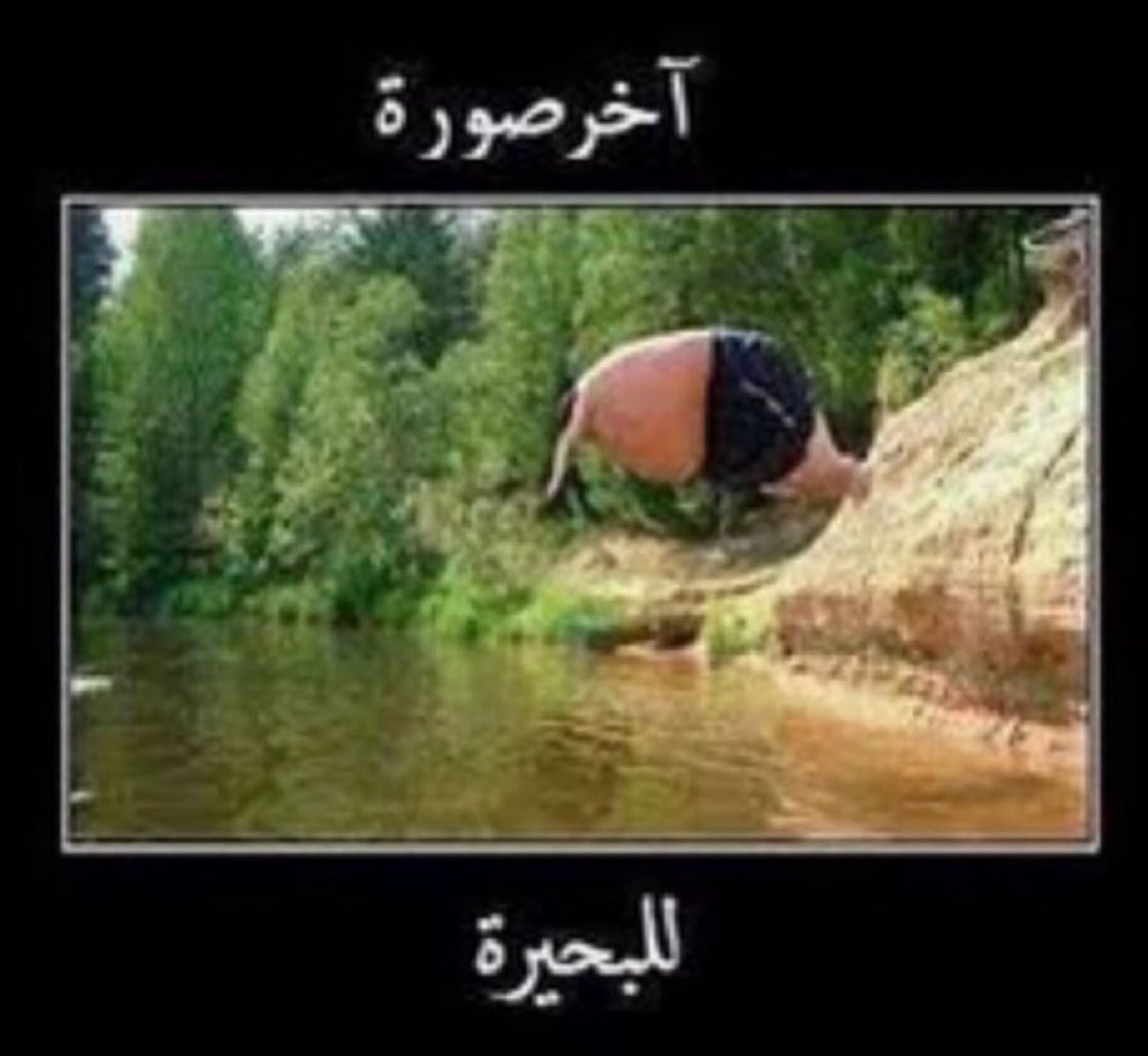 عاشق اغنية الحرير tweet media