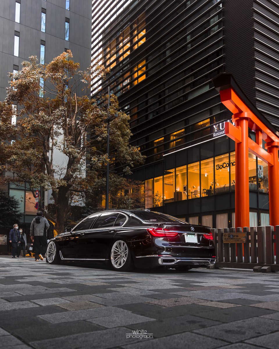 ほわいと tweet media