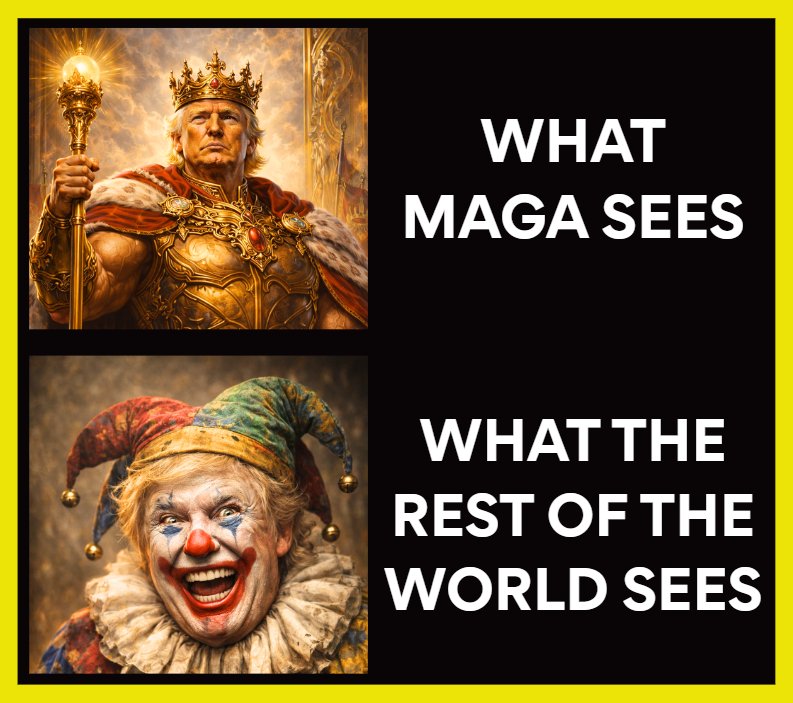 Crazy Cat Daddy 🌊 tweet media