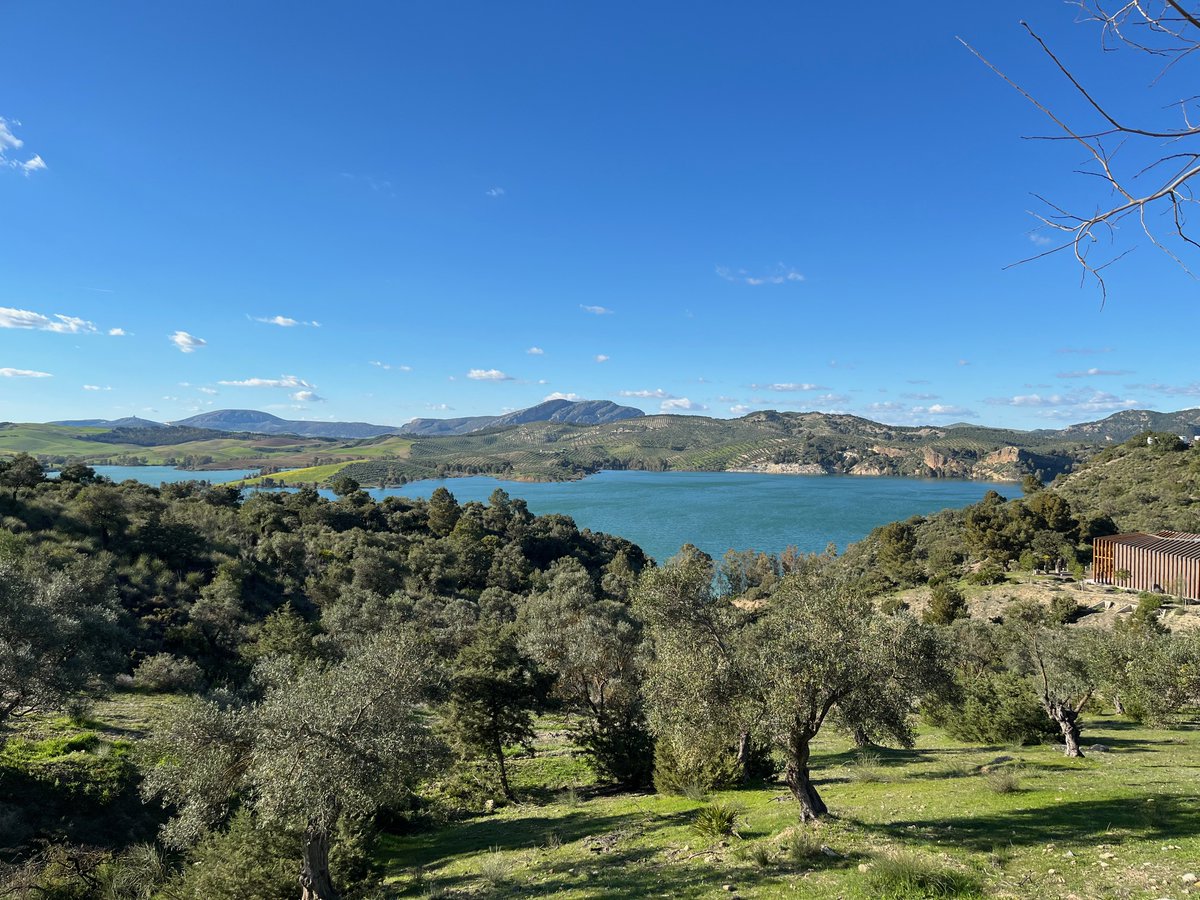 Freethmtowns's tweet photo. We’ve been keeping a secret 🤫

Portugal has long been part of our roadmap, and it still is. But as with many pioneering projects, timelines don’t always move as fast as vision.

So we’ve taken a decisive step forward. Enter Spain. 🇪🇸

More land, greater flexibility, and municipalities that are truly ready to cooperate.

Last week, our team visited a gorgeous 130-hectare property. We are now preparing the next steps for a formal presentation to the local municipality.

Any guesses where this Freeth’m town might take shape?