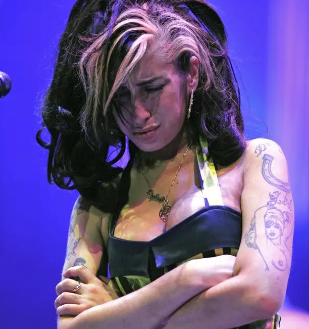 Wild Videos tweet media