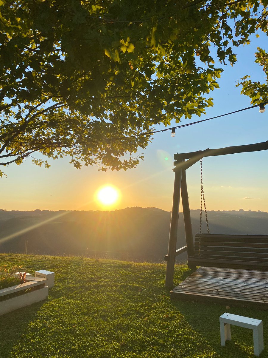 Izabella P. tweet media