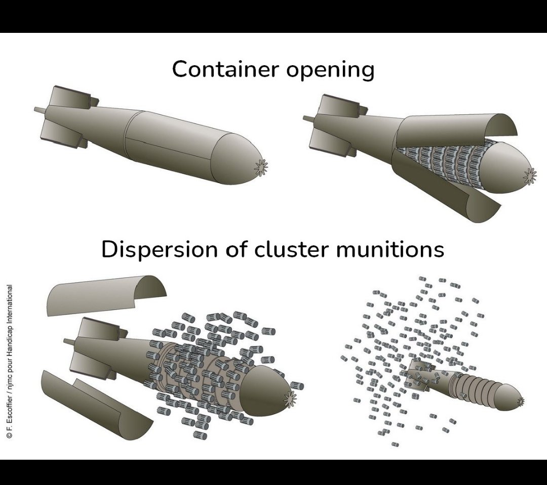 Nigerian Pan-Africanist tweet media
