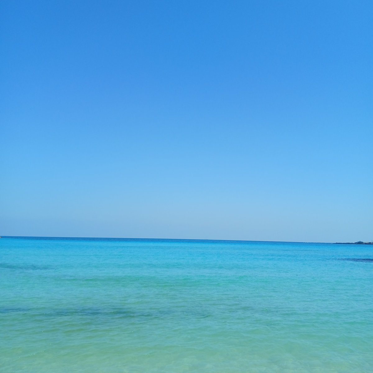 새벽부터 tweet media