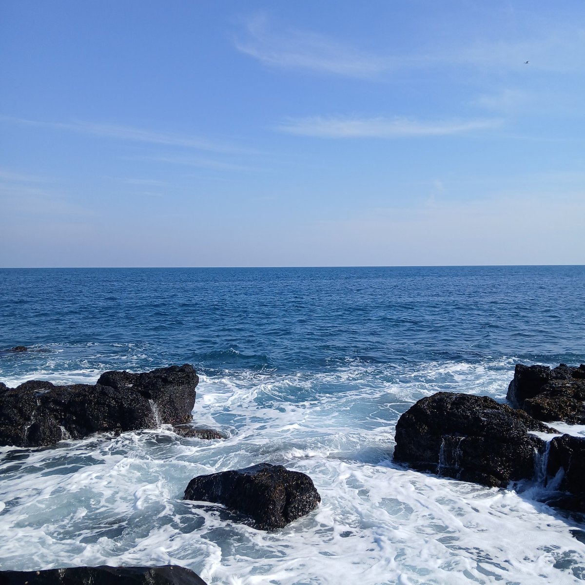 새벽부터 tweet media