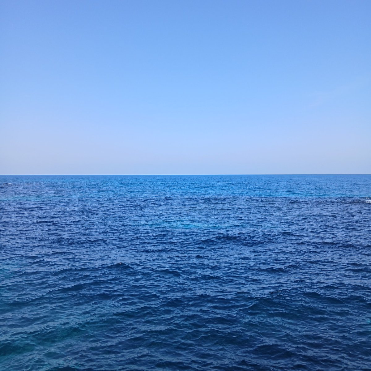 새벽부터 tweet media