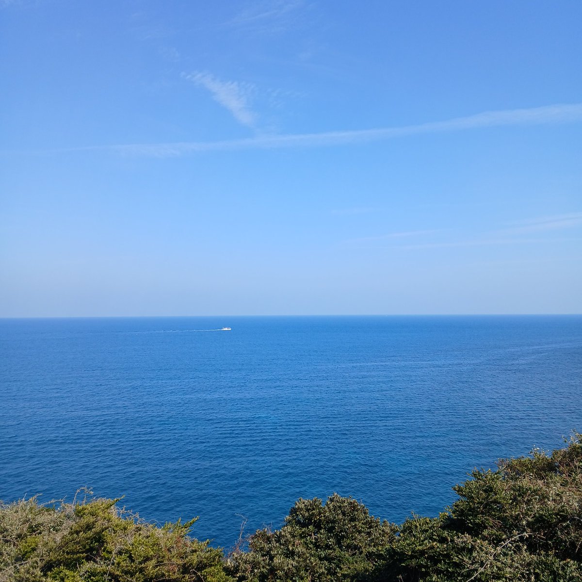 새벽부터 tweet media