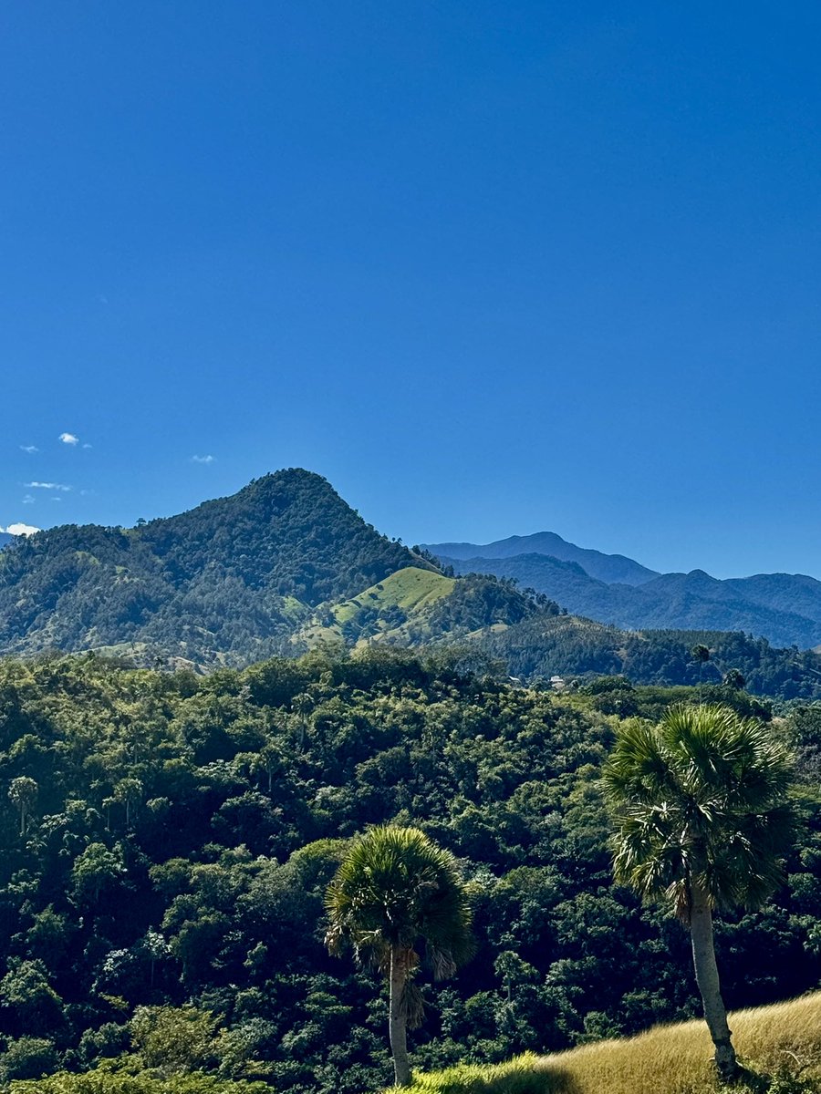 Un hombre sin pasiones está tan cerca de la estupidez que sólo le falta abrir la boca para caer en ella
El autor critica la ausencia de pasión, elemento que nos conduce a vivir y actuar tal y como queramos hacerlo.

Séneca.