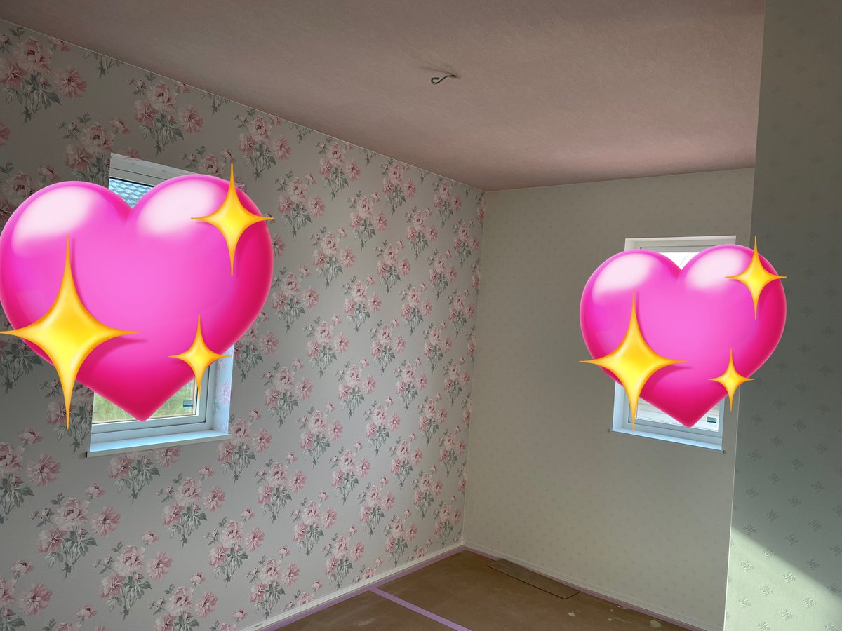 いもにゃんの日常 tweet media