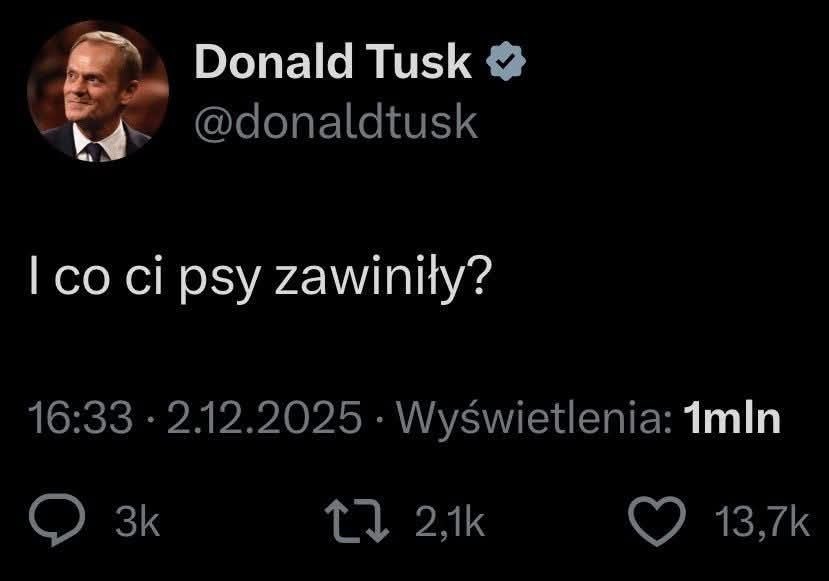 Potężny Seb Ross 🇵🇱🇬🇧 tweet media