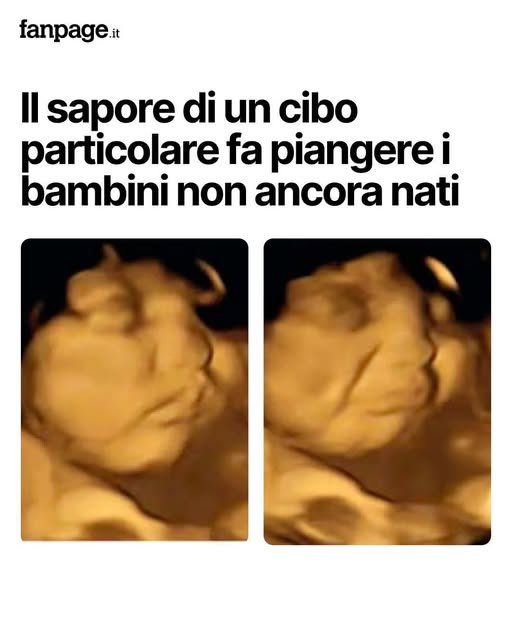 DonnaChiara🙋🏼‍♀️ tweet media