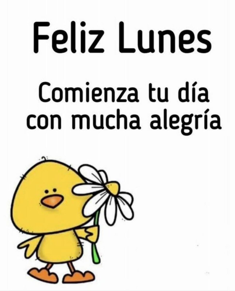 Muñeca de trapo tweet media