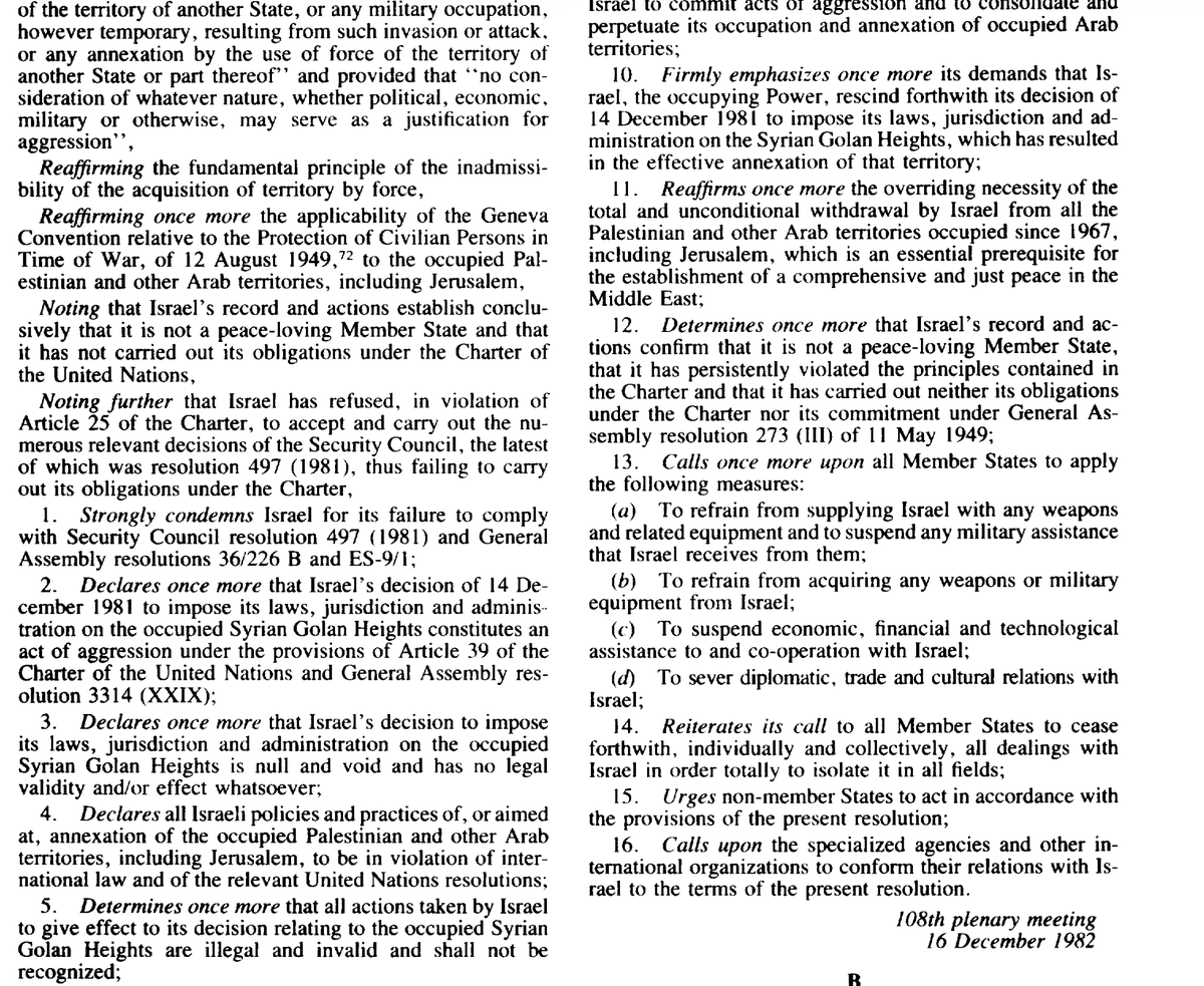 Nimer Sultany tweet media