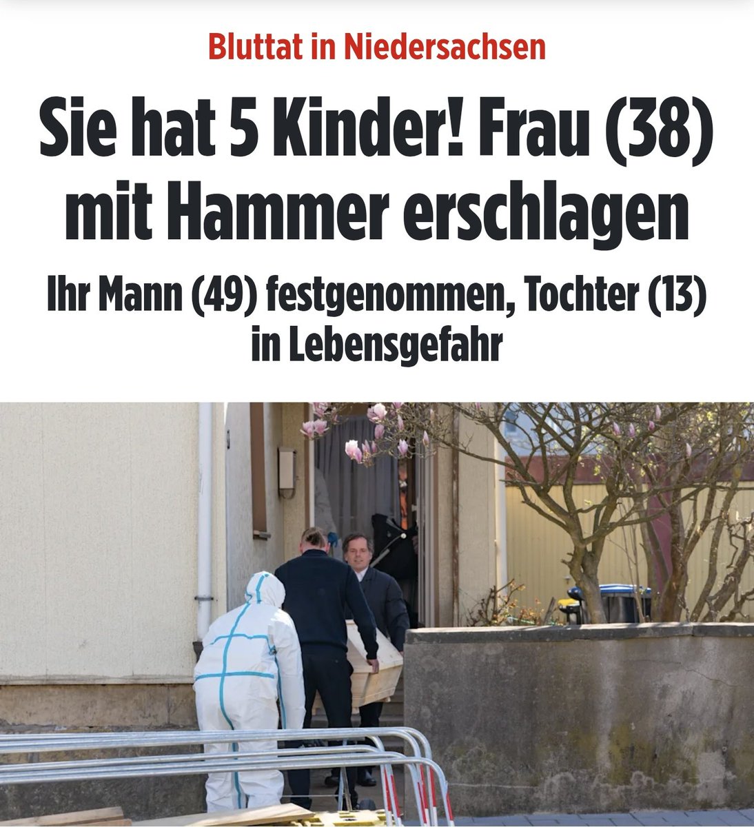 🇩🇪LilitThyra🩶 tweet media