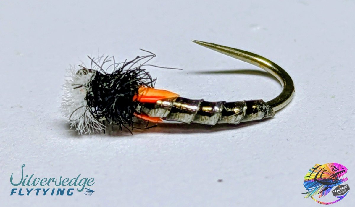 Semperfli Fly Tying tweet media