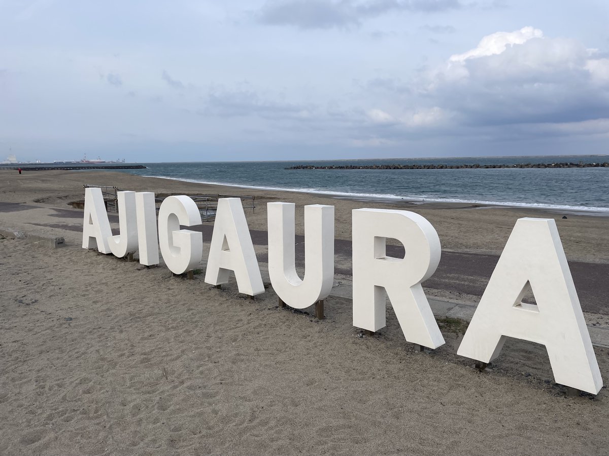 大西科学 tweet media