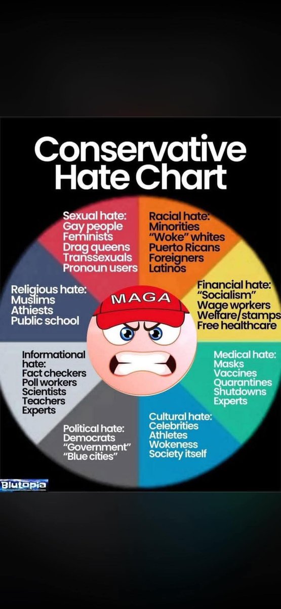 Pissed off American Voter💙💙💙🌊🌊🌊🌊 tweet media