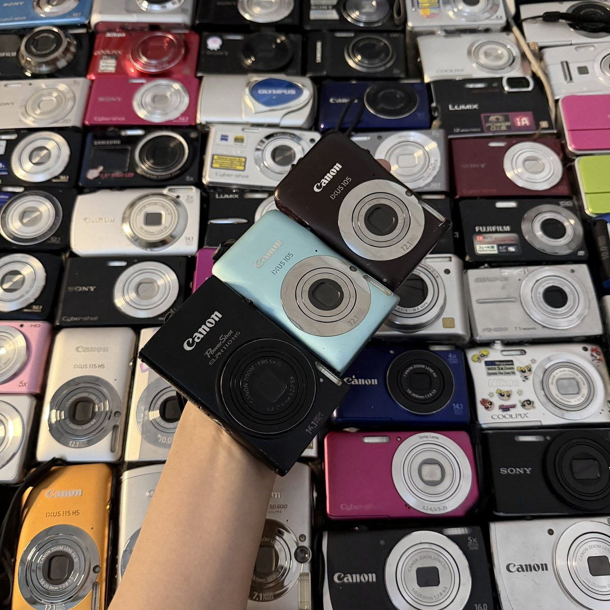 sangsu digicam 📷 tweet media