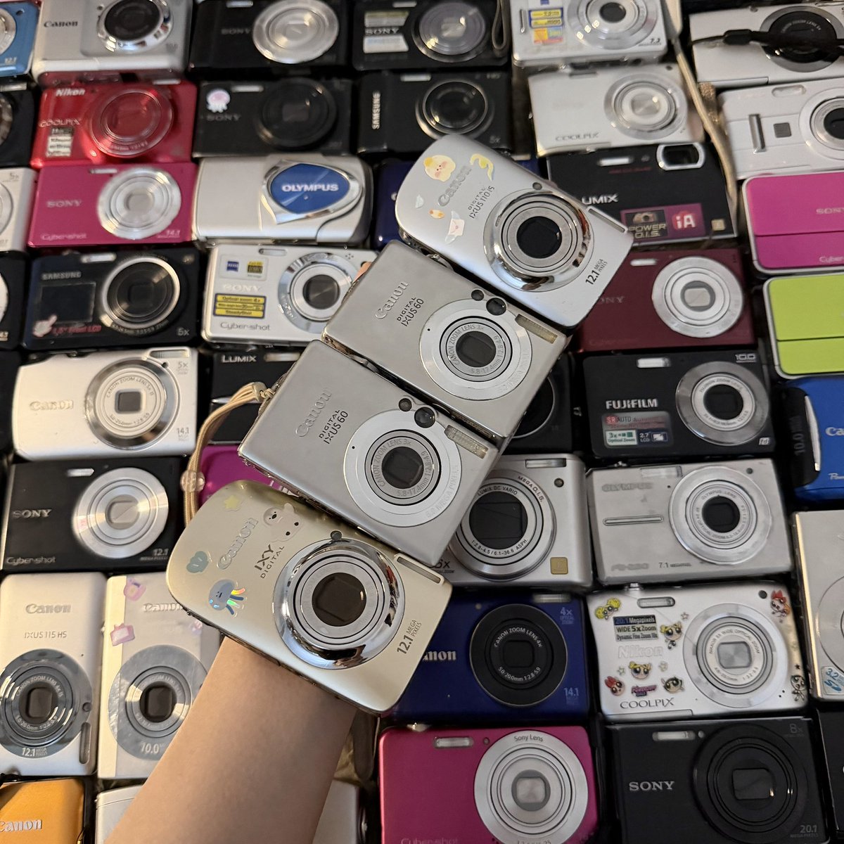 sangsu digicam 📷 tweet media