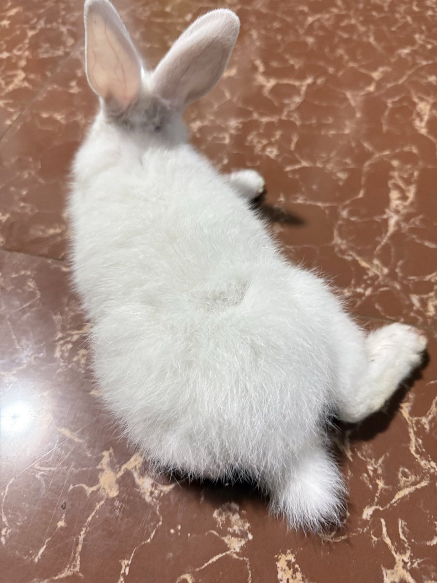 𓏲ּ𝄢༝༚༝༚༝༚༝ tweet media