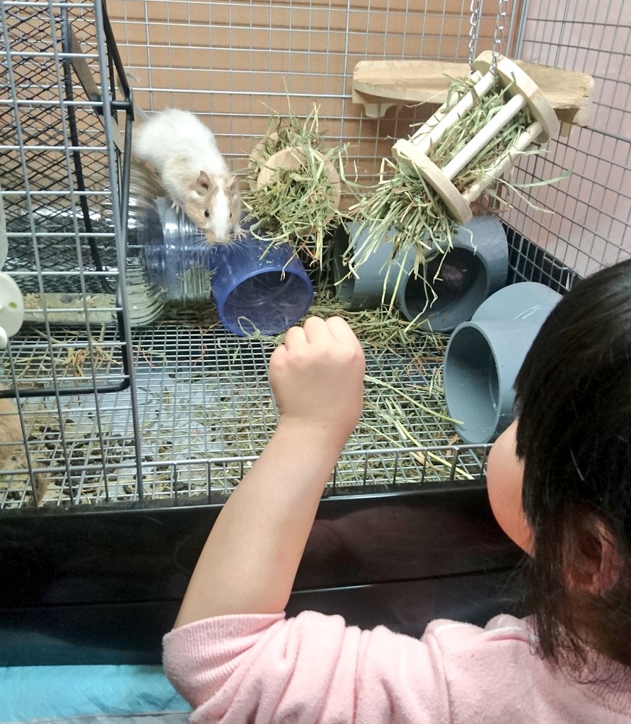 皎月院空狐 tweet media