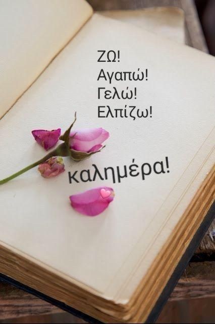 Πολυξένη Δακούτρου tweet media