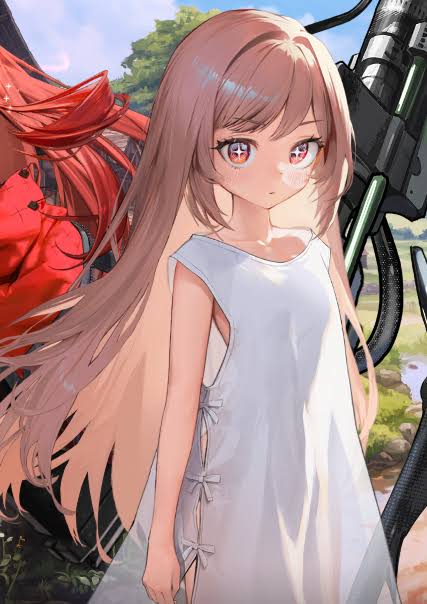 コンサータ・ガジュマル tweet media