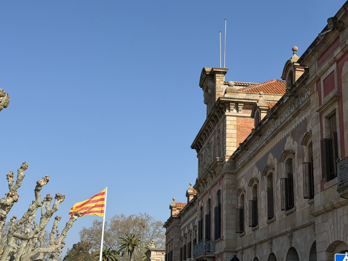 Impulso Ciudadano tweet media