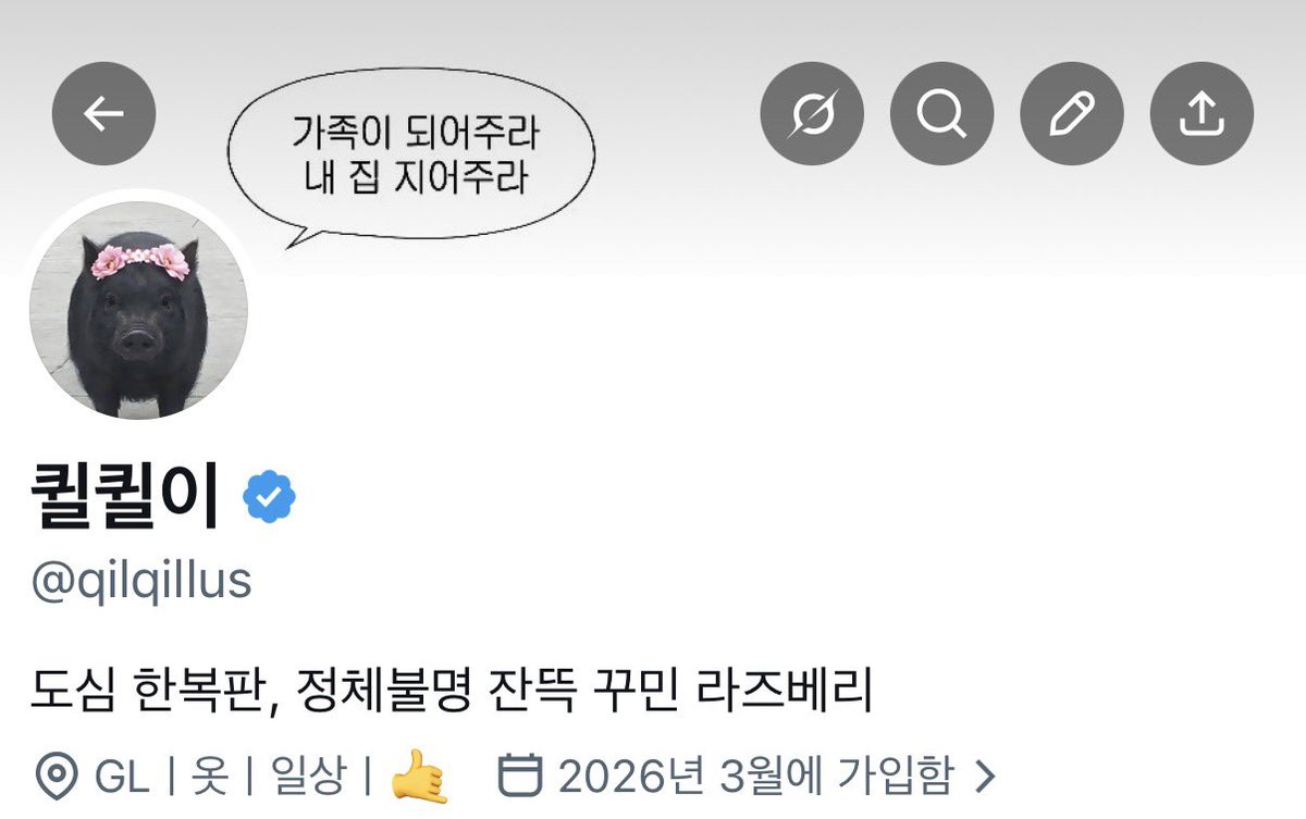 퀼퀼이 tweet media