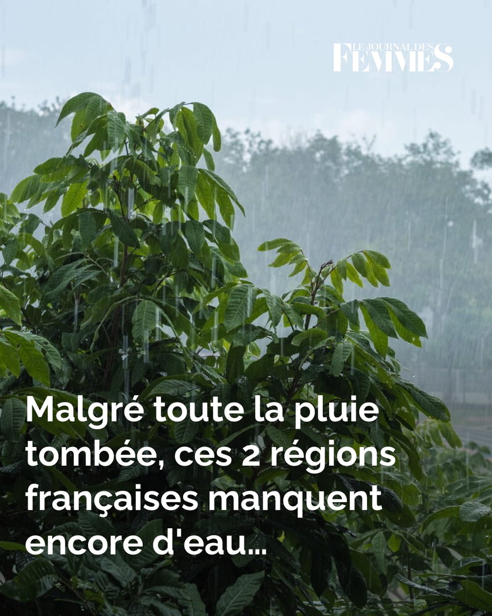 Journal des Femmes tweet media