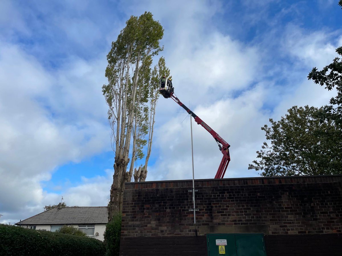Bardsey Tree Services tweet media