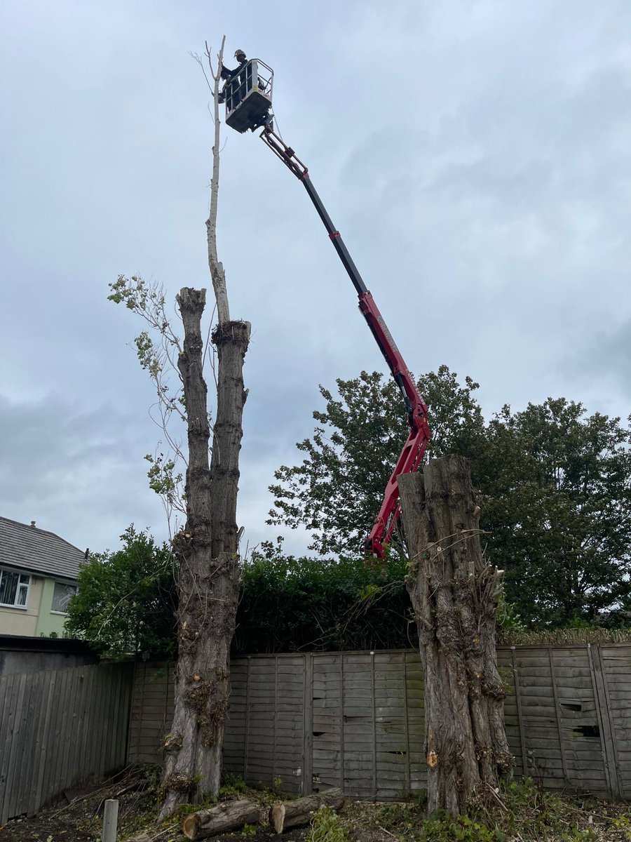 Bardsey Tree Services tweet media